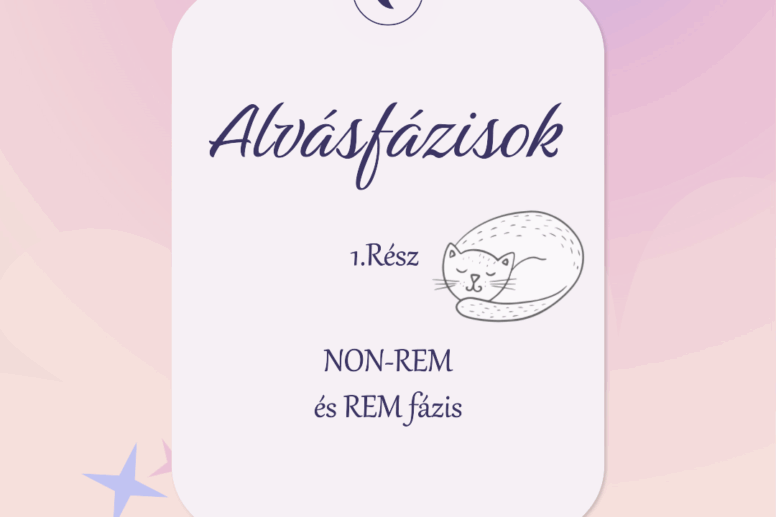 Alvásfázisok